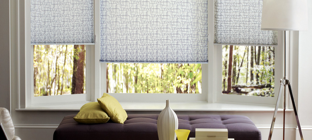 ZBlinds Company Fresno | Pleated Shades