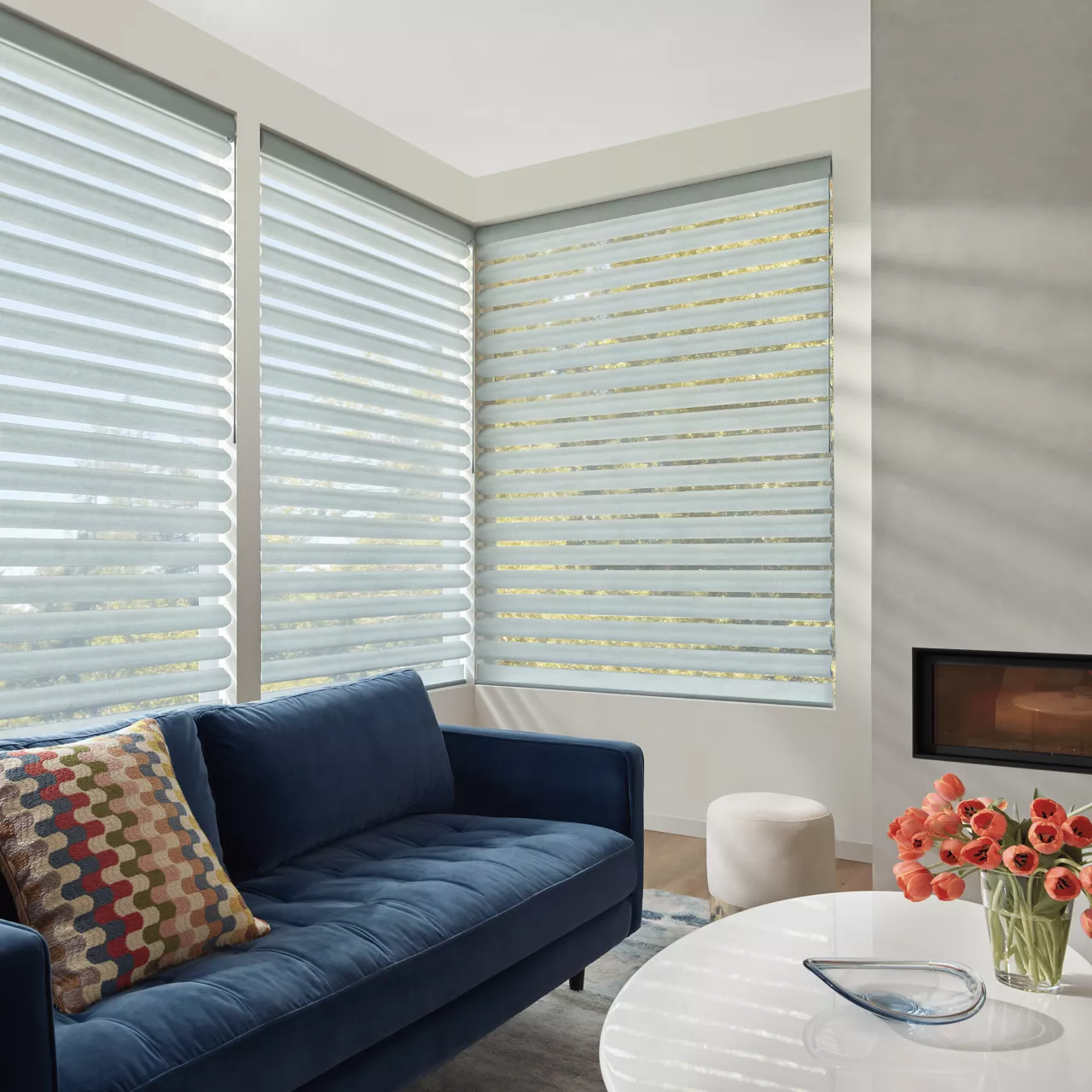 Fresno Z Blinds Pirouette