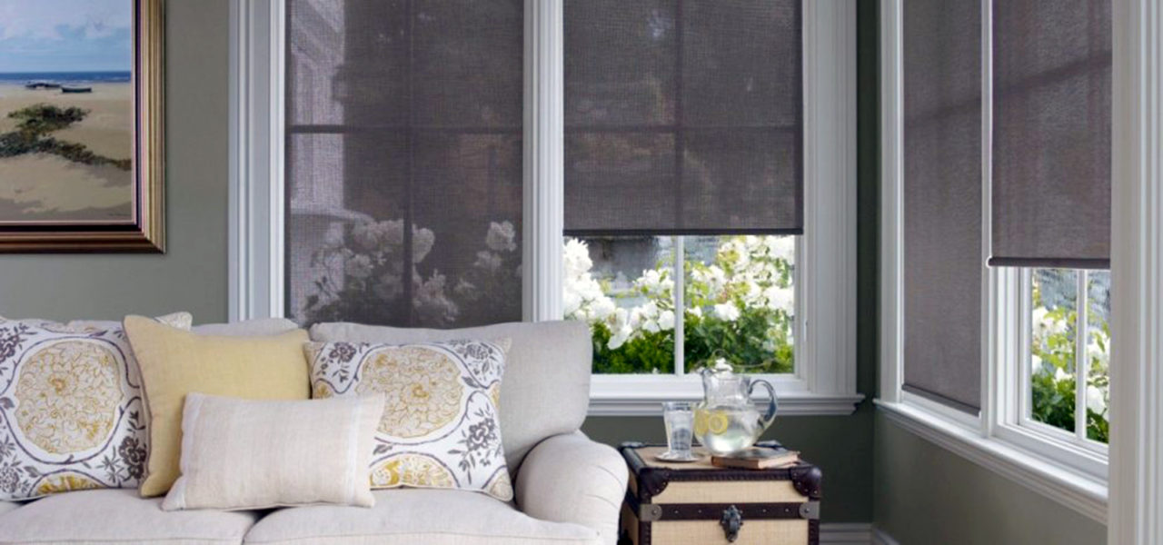 Alta Roller & Screen Shades - ZBlinds