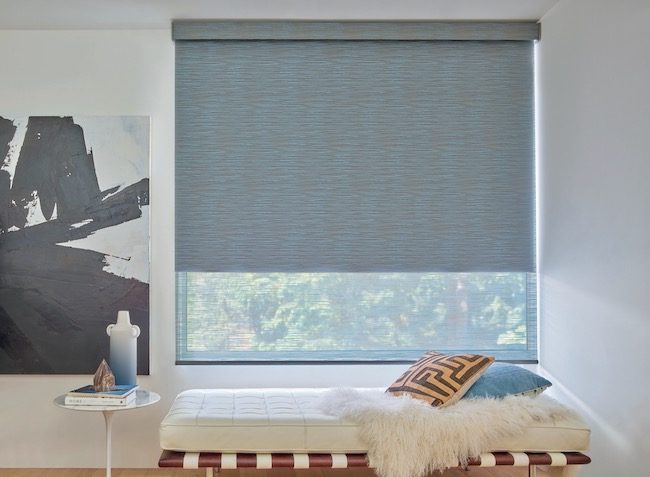 Hunter Douglas Designer Roller Duolite Shades Zblinds